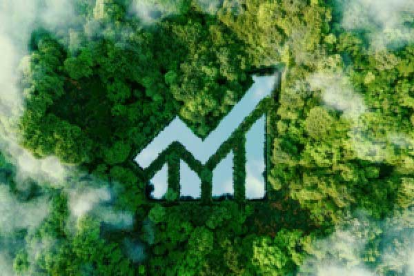谷歌的AI投资，钱都花在了哪儿？(2025年04月07日)
